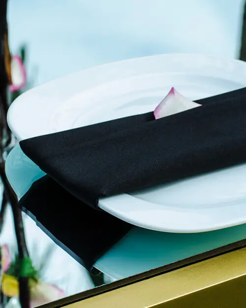 dishware